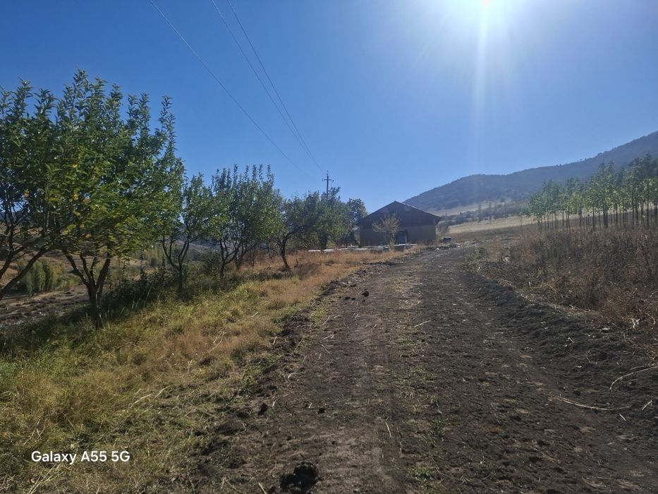 Бустанлик тумани. Галасой Амирсой йулида Курилиш учун ер 1 гектар