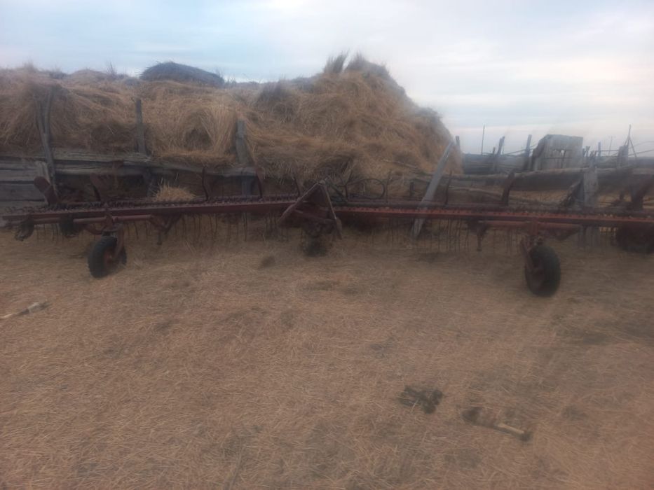 ротрная грабыл