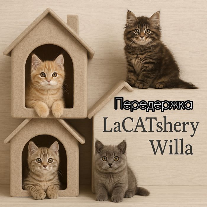 Зоогостиница, передержка на дому. Качество, профессионализм.