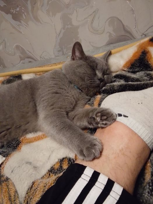 Приглашаем на вязку