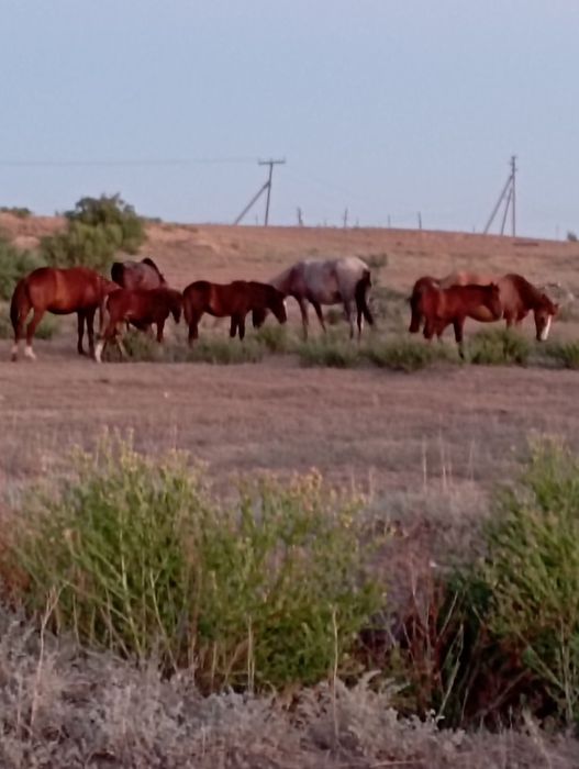 Продам и обмен авто