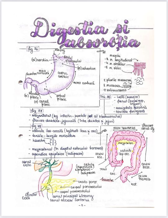 Notițe admitere medicină - biologie
