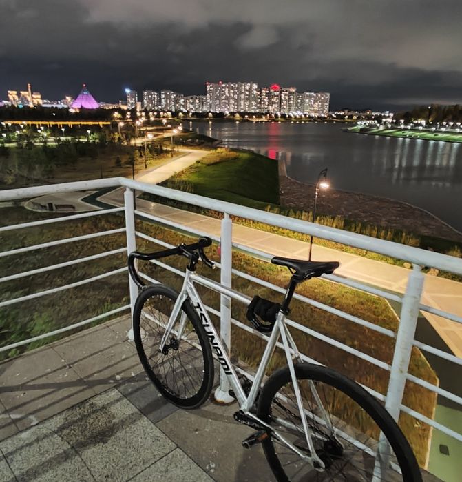 tsunami snm-100 fixed gear фг