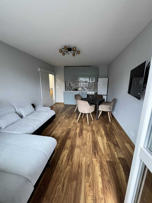 Дава се под наем Двустаен апартамент в София, Дървеница - 42 кв.м за 500 € - Снимка #1