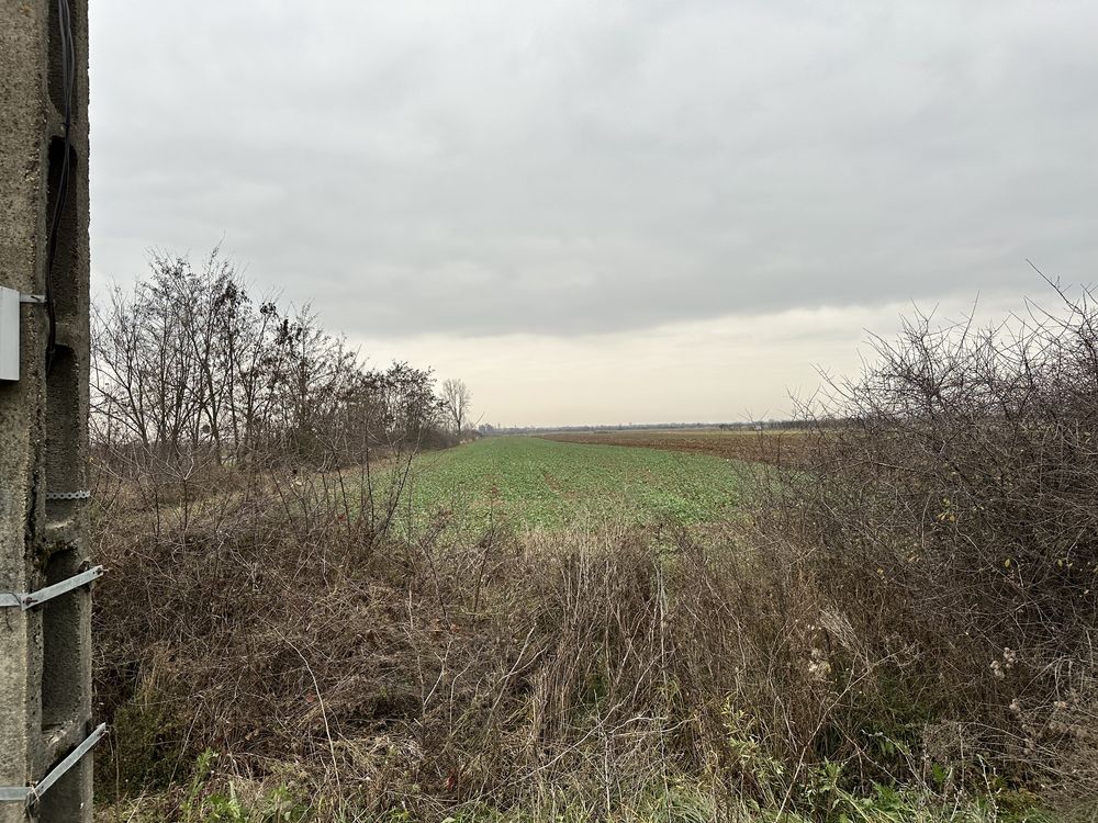 Ofer spre vanzare Teren partial Intravilan 86 Arii
