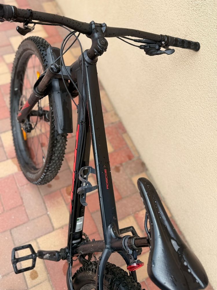 Bicicleta Roscoe 7