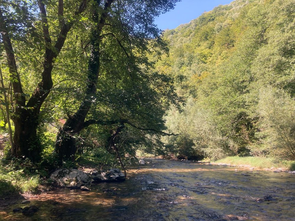 Oportunitate unică ! Proprietate in parc national pe malul Cernei !