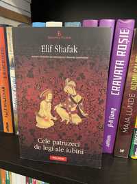 Elif Shafak, Cele patruzeci de legi ale iubirii