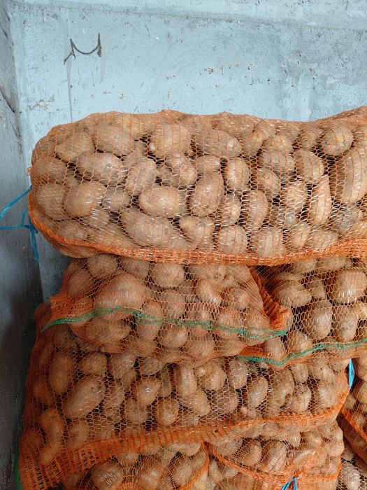 Cartofi  consum  de vânzare