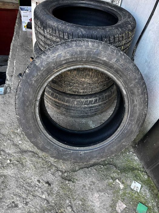 anvelope radburg 2024