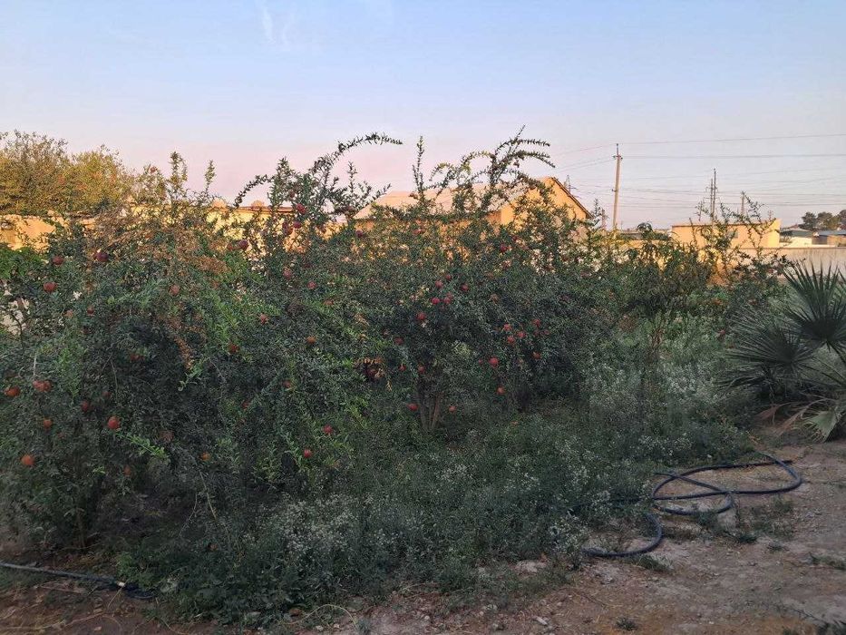 Uy hovli sotiladi 12 sotix