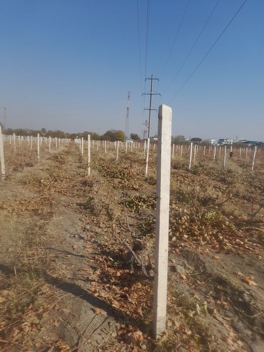 Shipaler sotiladi holati yaxshi ishlatigan simlari ham bor narxi 40000