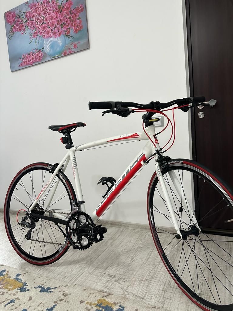 Bicicleta Adriatica