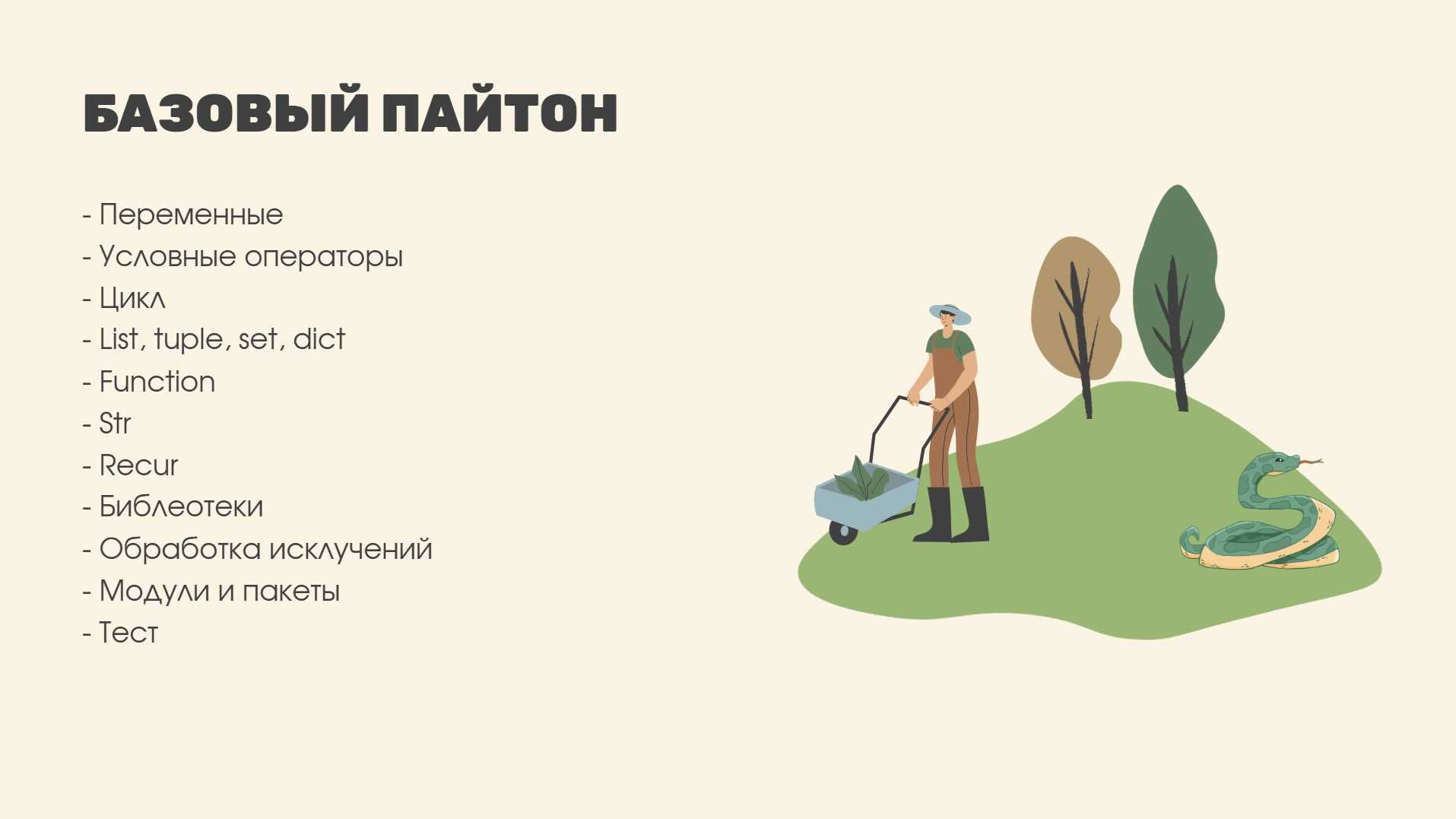 Базовый Python видеоуроки 15000тг