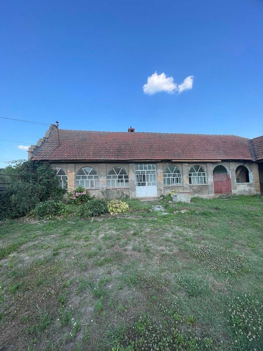 Teren Intravilan | Sacosu Turcesc | 2624 mp | Comision 0%!!