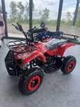 Mini-Atv 49cc Garantie si Factura