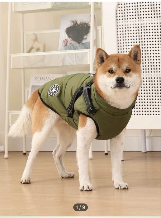 Яке за куче ново