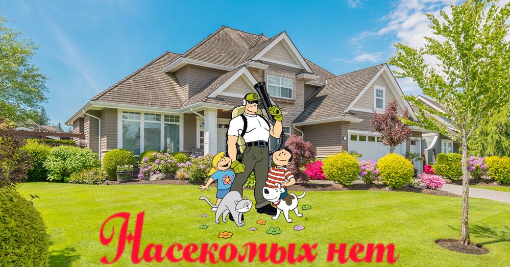 Уничтожение  клопов