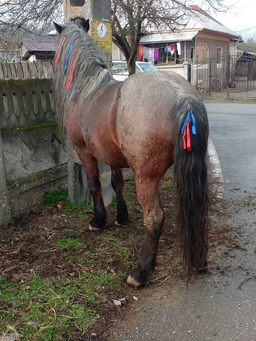 De vanzare sau schimb