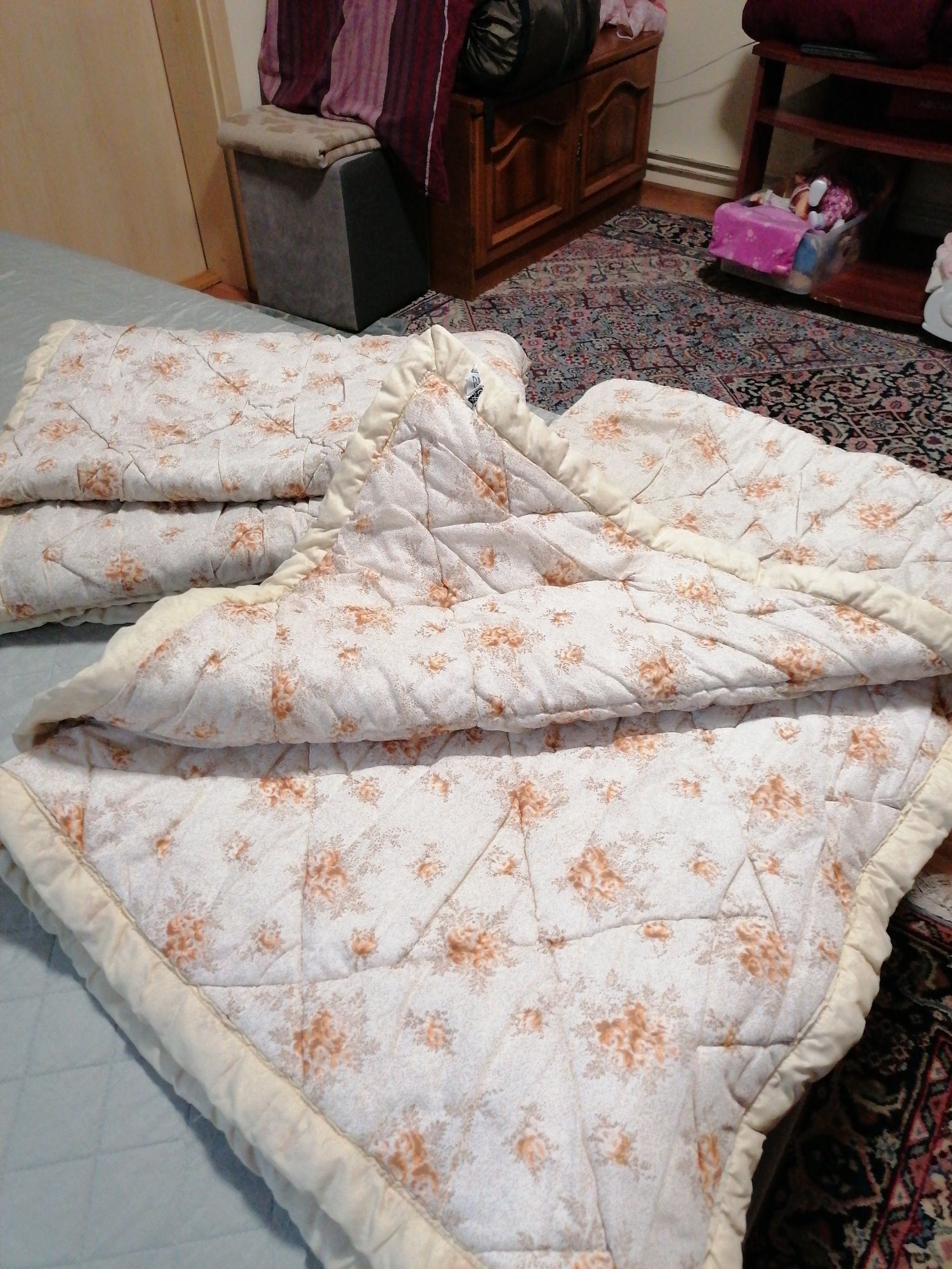 Vind o plapuma , toamnă - iarnă