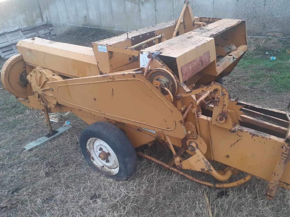 Balotiea Rivierre Casalis ER40