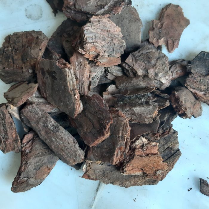 Кора сосны и листвиницы