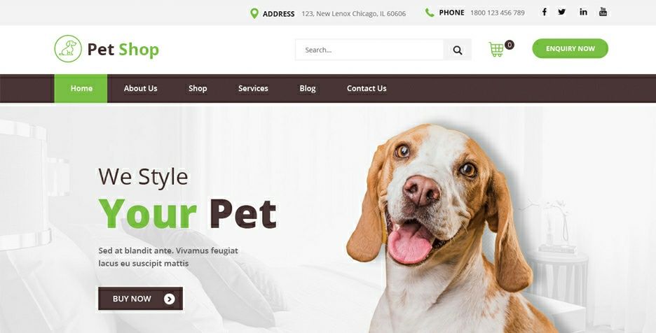 Web design București: modele moderne, SEO, Google Ads și Facebook Ads