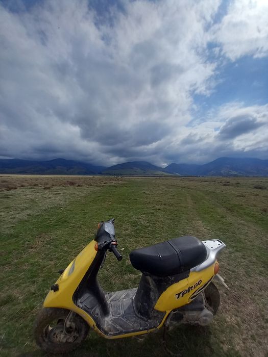 Piaggio typehoon 80