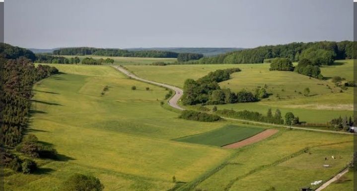 Срочно продам очередь