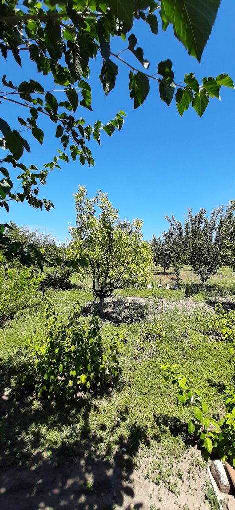 Продава се Къща в с. Съединение, Област Търговище - 42 кв.м за 304 €/кв.м - Снимка #11