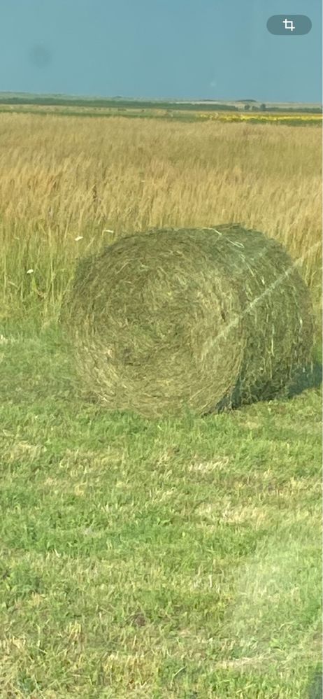 Vând baloți rotunzi