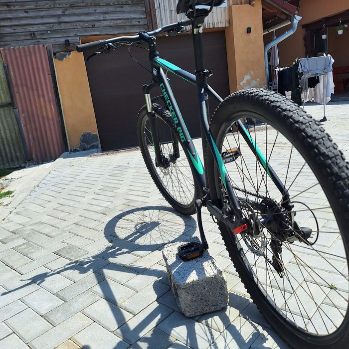 Vand urgent Checker pig mtb