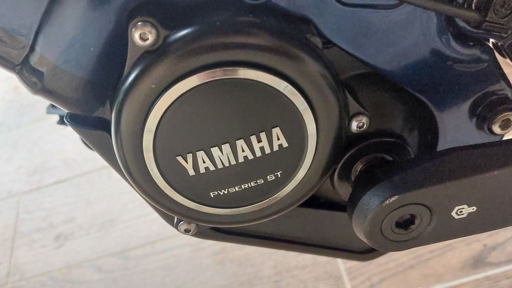 Bicicleta electrica Raimon 130e 6.0