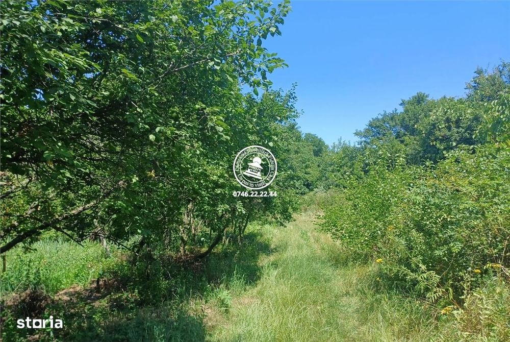 Teren pentru constructii case de vanzare Iasi, Copou