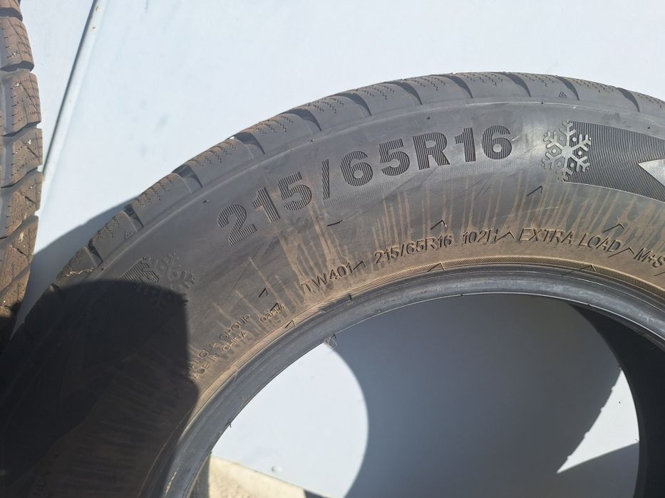 Зимние шины Triangle WinterX TW401
