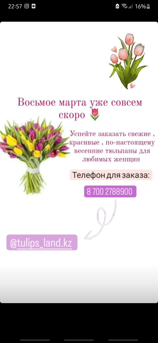 Тюльпаны 8 марта