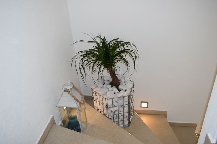 Белый,сений,красний и розовой галка декоративни камен