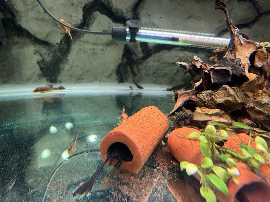 Аквариум 420 литра с метална стойка