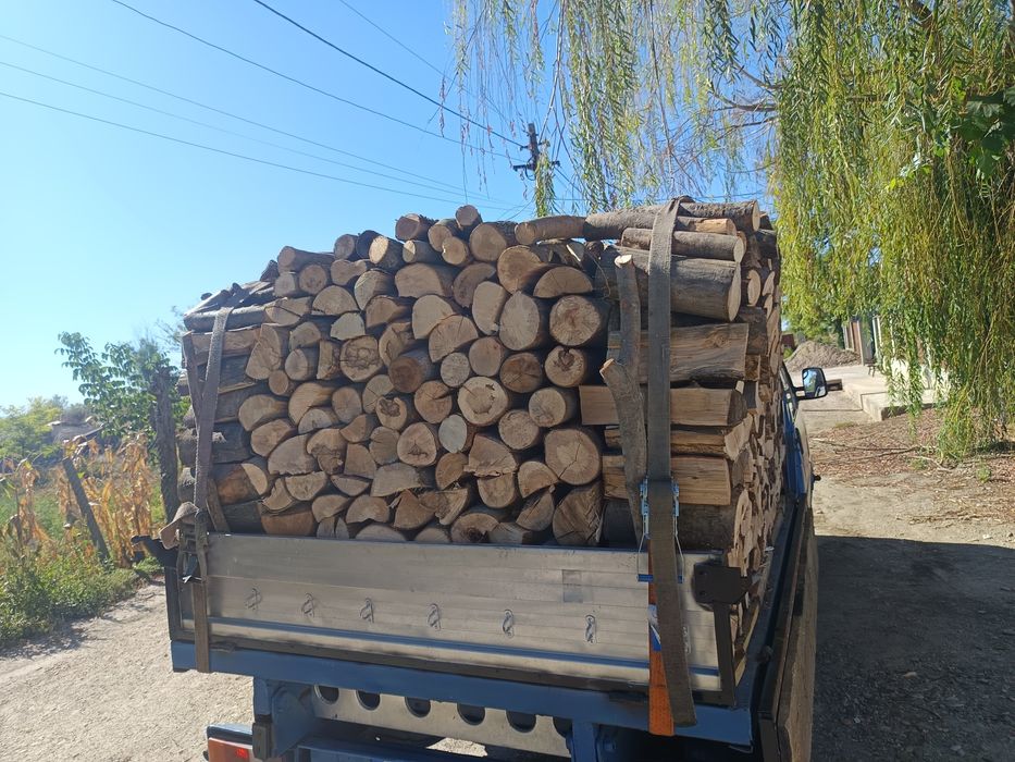 Aduc lemne de foc fag tăiete făcute de soba său centrala uscate