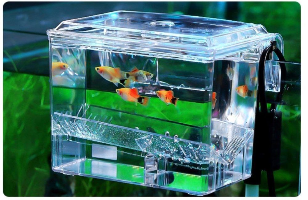 Продается инкубатор для разведения живородок