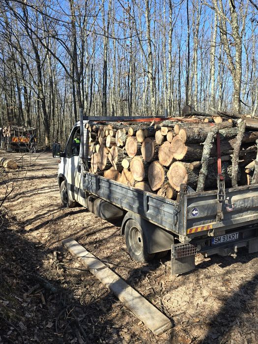 Lemne de foc esenta tare