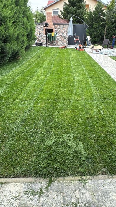 Gazon Rulou și Sistem de irigare și plante Decorative