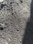 Pamant negru  vegetal pt flori,gazon