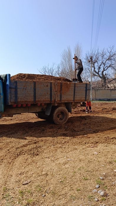 Пори нури гунг куй молдики