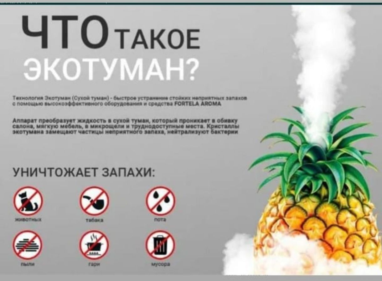 Нейтрализация неприятных запахов, сухой туман