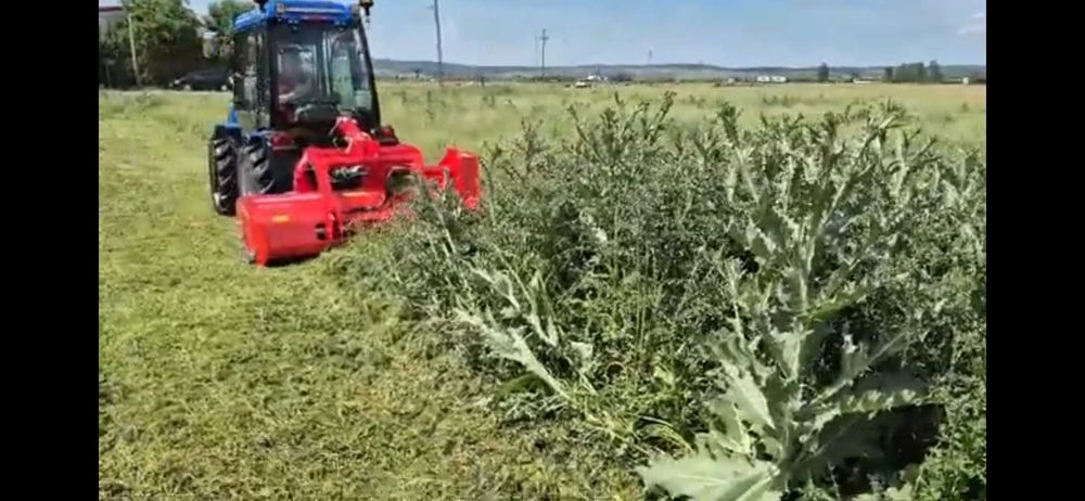 Defrisat teren,defrisare pasuni,defrisari dig,parc fotovolt,tuns iarba