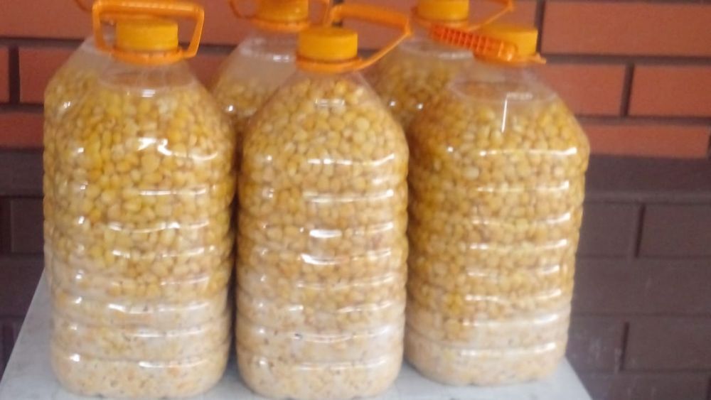 Продам кукурузу для рыбалки