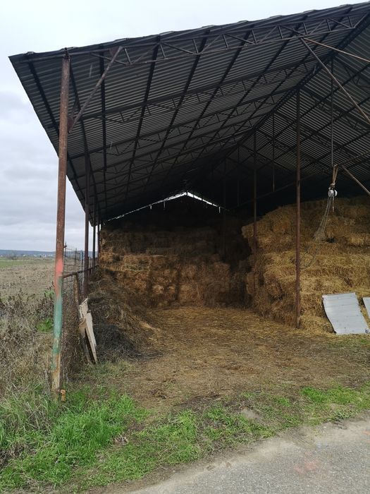 Vand Baloti Lucerna Fan Paie