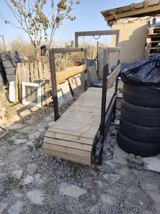 Беговая дорожка для собак