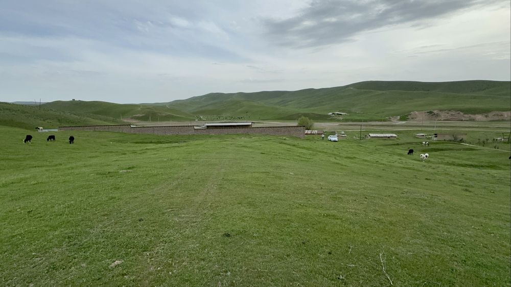 Ferma-kora sotiladi...